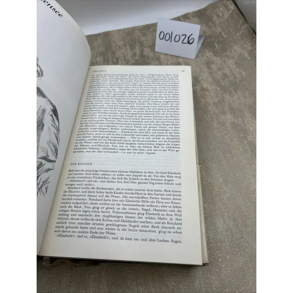 Am Grauen Meer: Gesammelte Werke by Theodor Storm - hardback